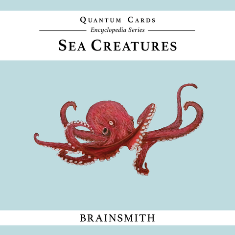 Brainsmith review_ConfusedParent