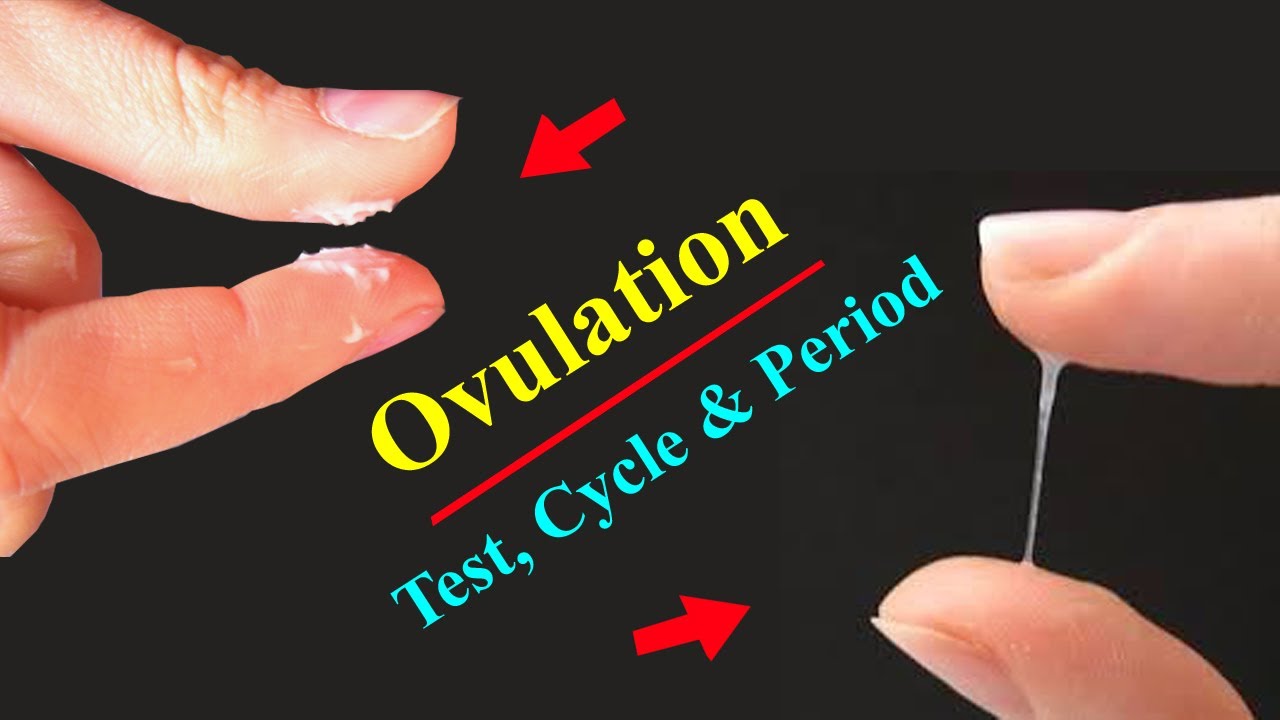 Simple Tutorial For Dummies Symptoms Of Ovulation Period