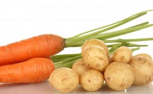 easy to digest food