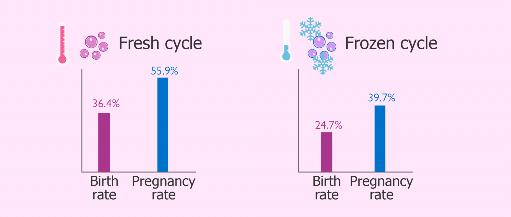 Fresh Cycle & Frozen Cycle