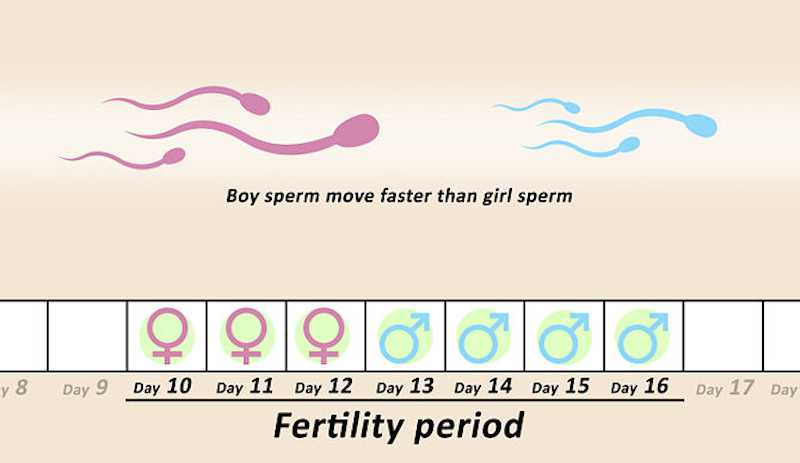 Little Girl Sperm