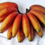 Banana Health Benefits For toddlers