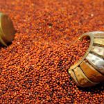 Best Millet For Increasing Weight In Children