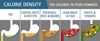 Calorie Dense Foods