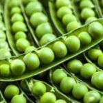 Peas