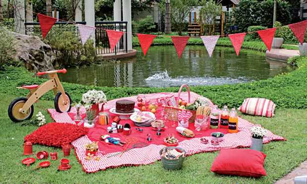 Picnic Party Themes