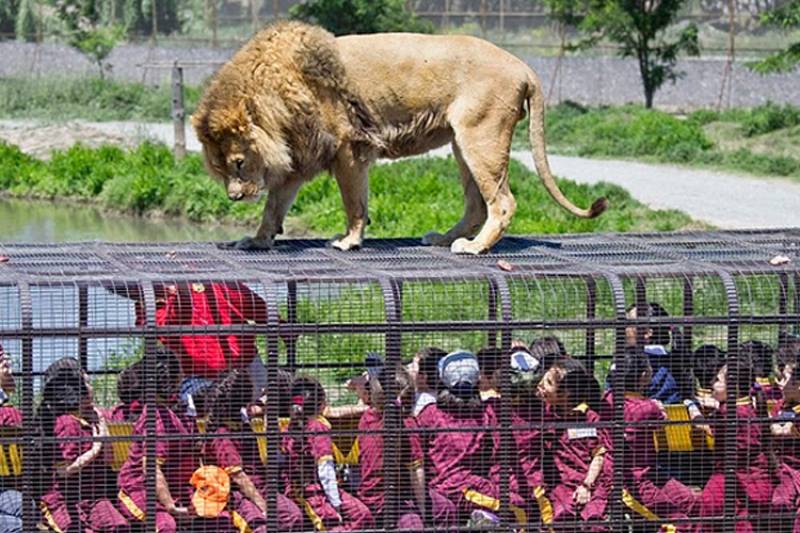 Bannerghatta National Park Bangalore For Kids