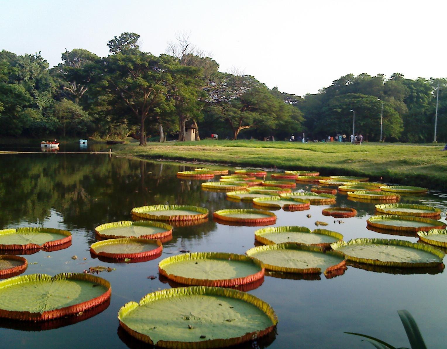 Top 20 Best Places To Visit With Kids In Kolkata