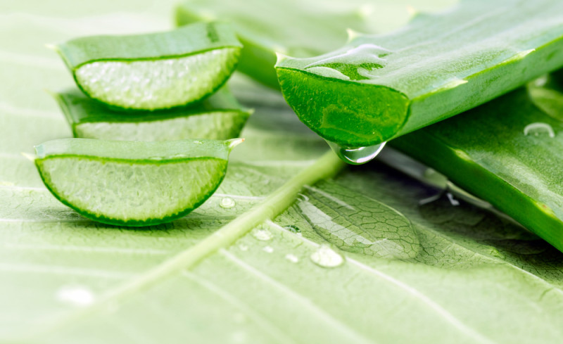 Aloe Vera For Stretch Marks