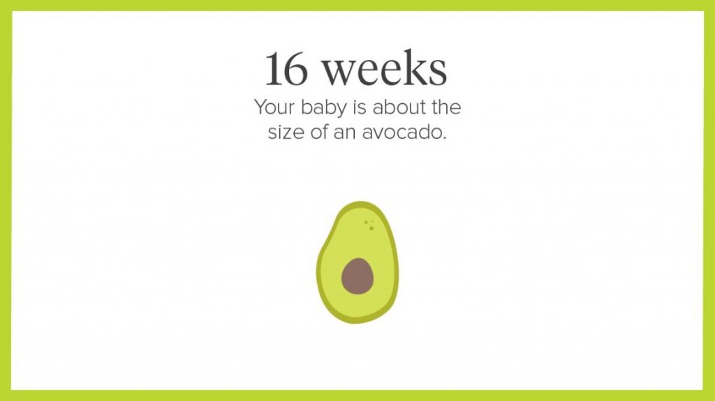 Health Benefits Of Avocado For Pregnant Women