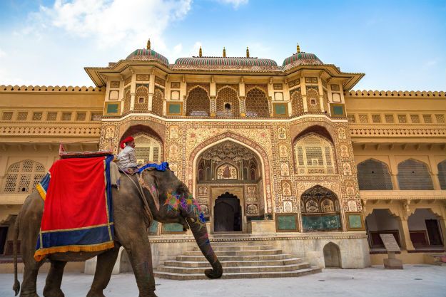 Amber Fort and Palace - Best Places To Visit In Jaipur With Kids