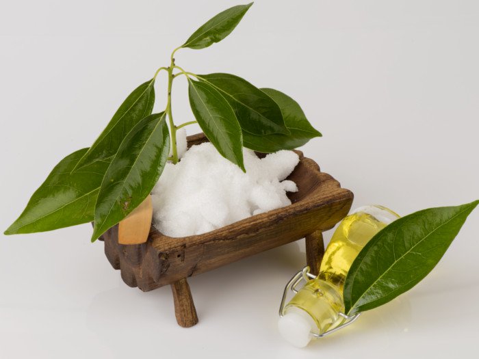 Camphor As Mosquito Repellent – How To Get Rid Of Mosquitoes