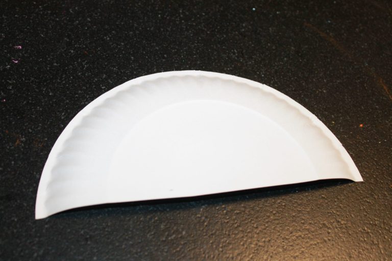 Paper Plate Hand Fan 1