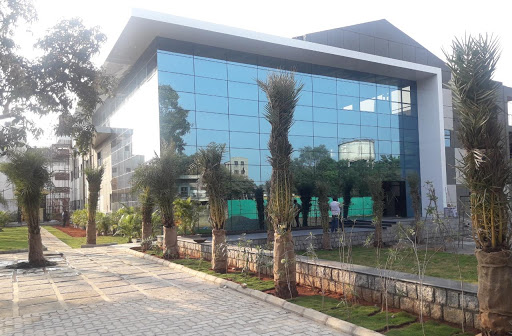 Top Emerging School – International
